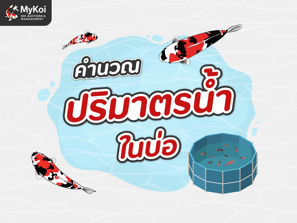 วิธีคำนวณปริมาตรน้ำในบ่อเลี้ยงปลา