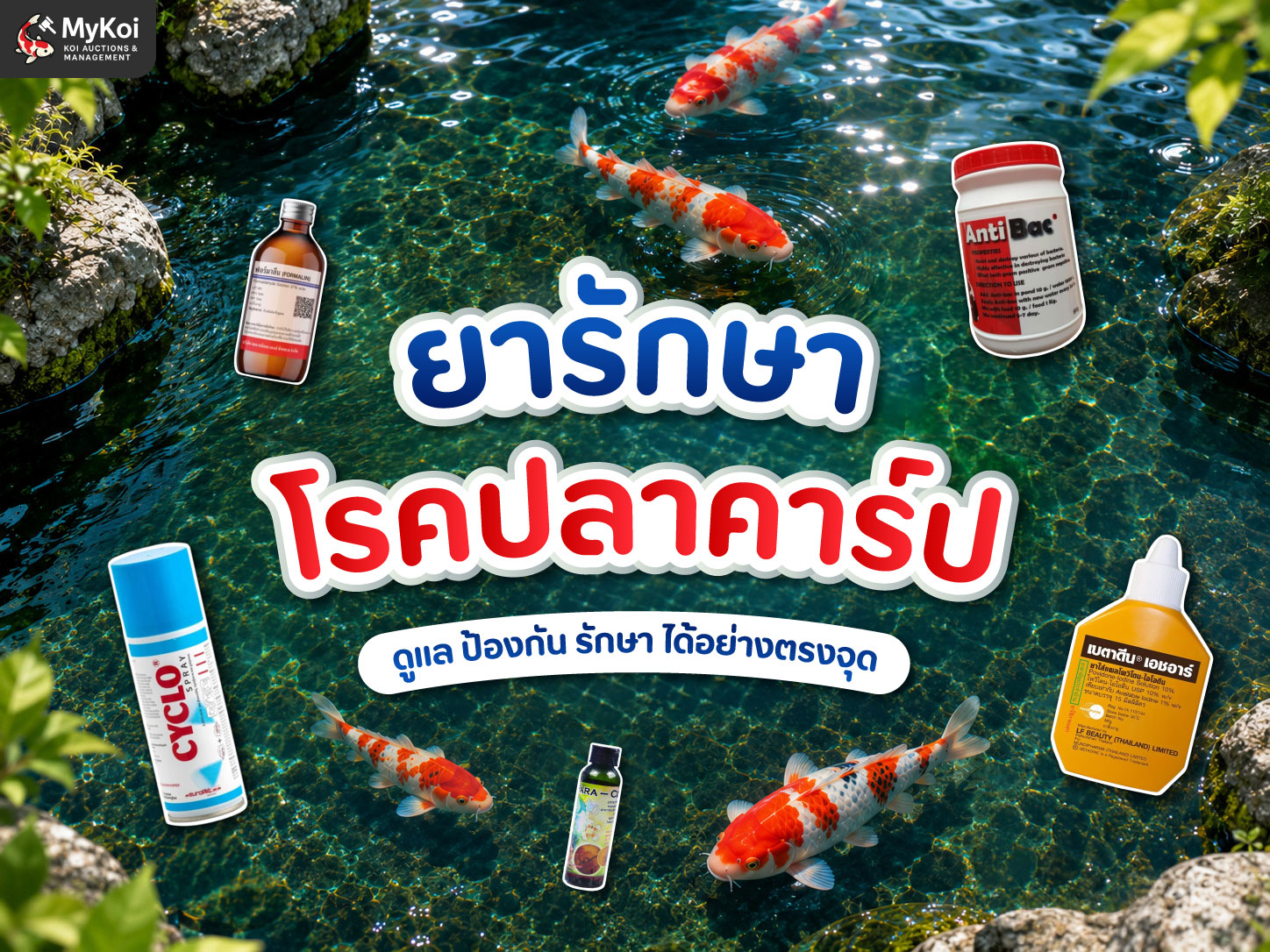 10 ยารักษาโรคปลาคาร์ป มีไว้เผื่อฉุกเฉิน พร้อมรับมือ เมื่อต้องเผชิญปัญหาปลาป่วย  ดูแล ป้องกัน รักษา ได้อย่างตรงจุด