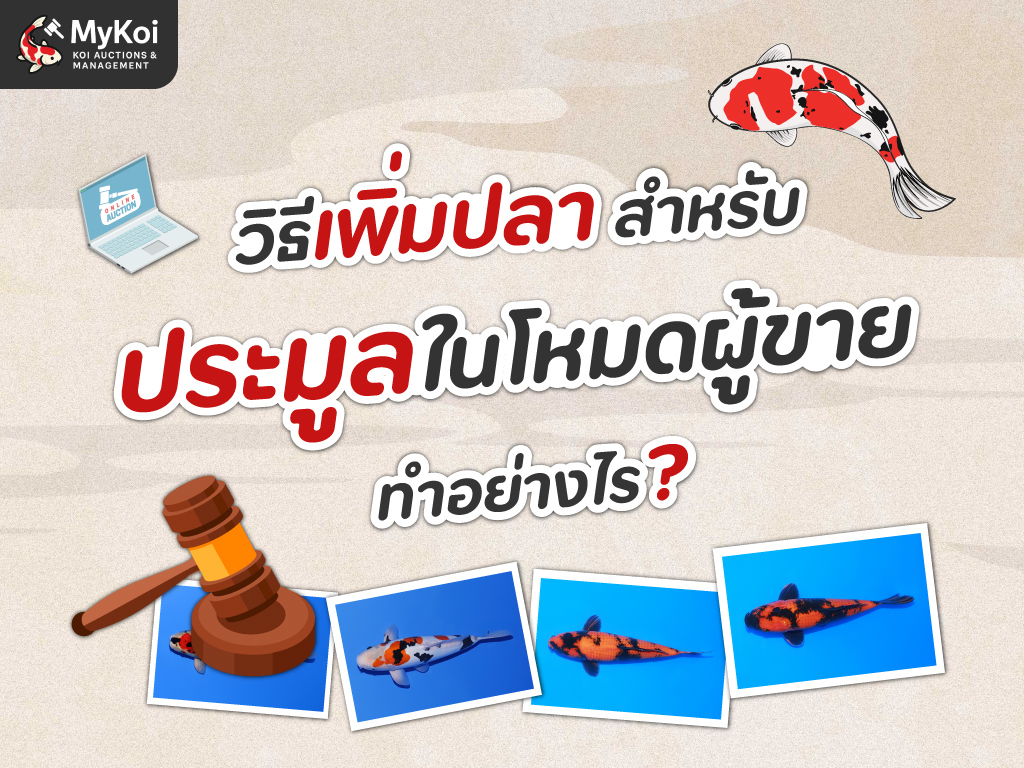 วิธีการเพิ่มรายการปลาสำหรับประมูลในโหมดผู้ขาย ทำอย่างไร?