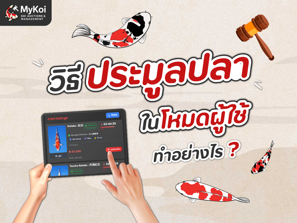 วิธีประมูลปลาในโหมดผู้ใช้ ต้องทำอย่างไร ?