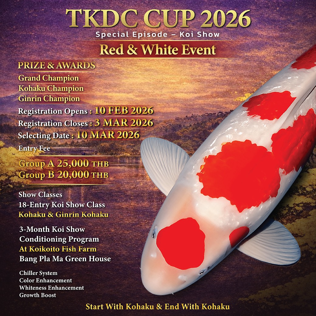 TKDC Cup 2026