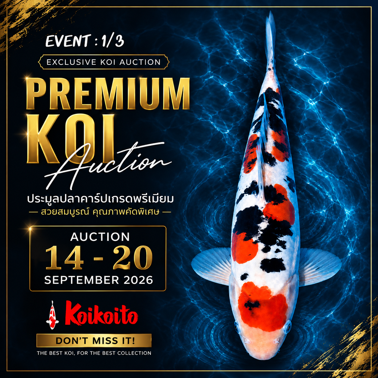Premium Doitsu Auction: Event 1/3